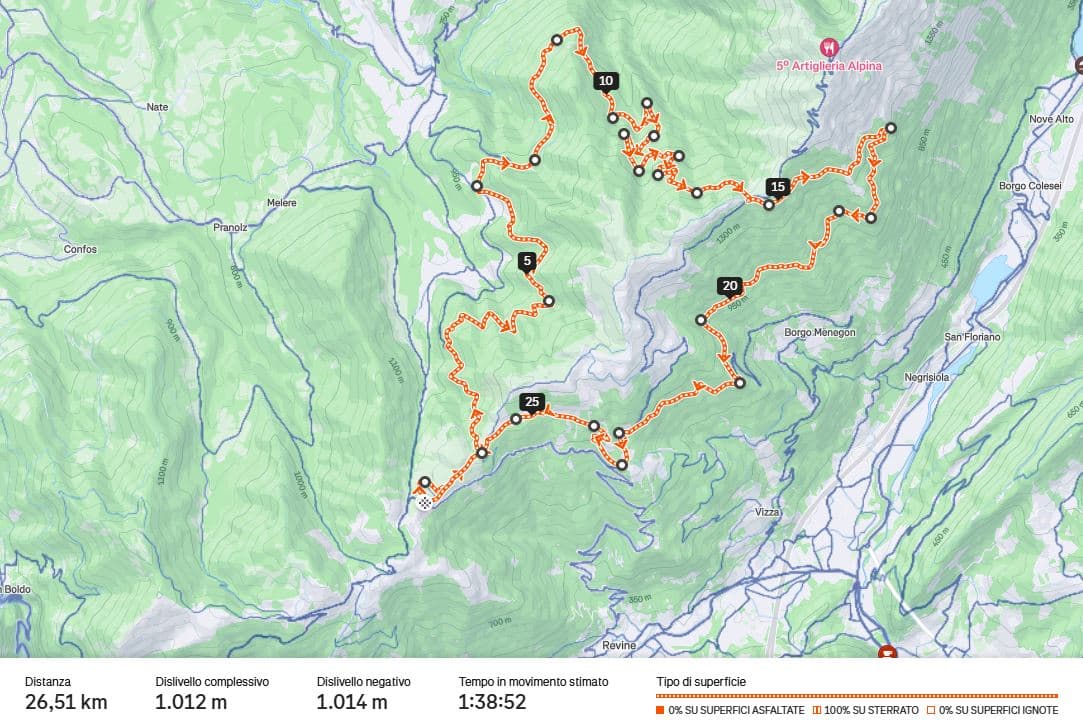 Composizione superficie Pian delle Femene - Forcella Zoppei