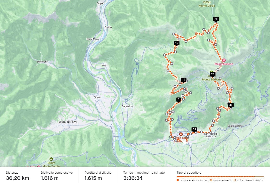 Composizione superficie Valdobbiadene, Ron, malga Mariech